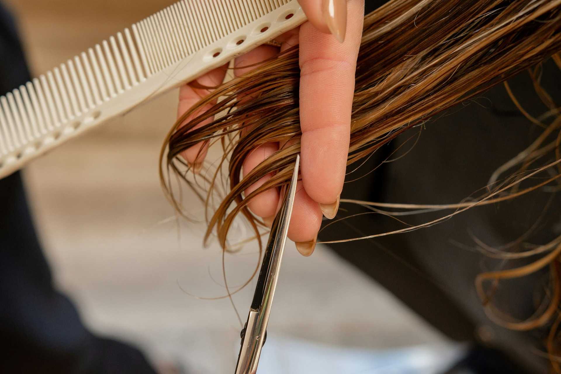 Cutting brown hair with scissors and comb.